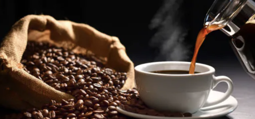 Café: da plantação à xícara, tudo o que você precisa saber