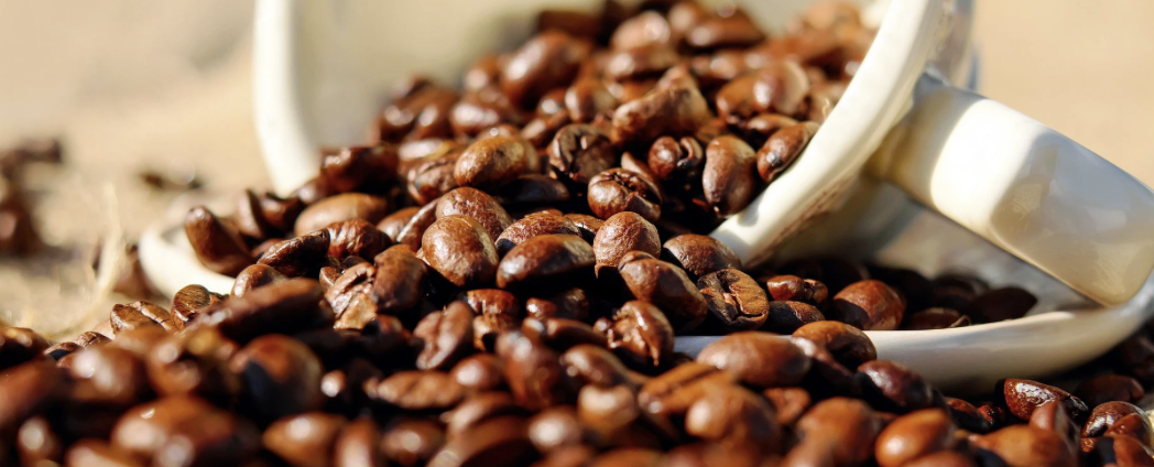 O guia completo do amante do café: dicas, receitas e tendências imperdíveis